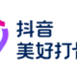 合作伙伴六